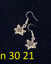 Učitajte sliku u preglednik galerije, Naušnice 30 - Earrings 30